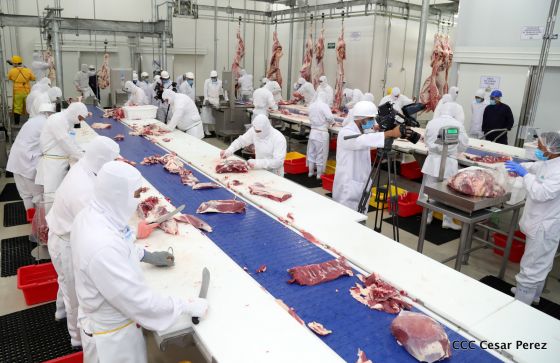 Moderno Matadero del Caribe San Isidro de capital coreano