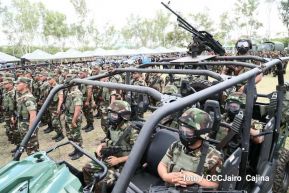 Plan del lanzamiento de la cosecha cafetalera 2019-2020