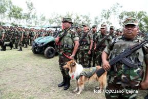 Plan del lanzamiento de la cosecha cafetalera 2019-2020