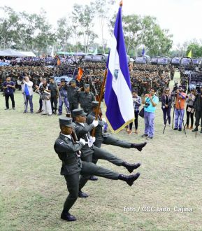 Plan del lanzamiento de la cosecha cafetalera 2019-2020
