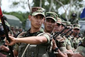 Plan del lanzamiento de la cosecha cafetalera 2019-2020