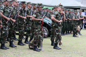 Plan del lanzamiento de la cosecha cafetalera 2019-2020