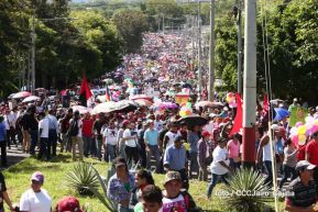 Capitalinos caminan en defensa de sus derechos y en solidaridad con Bolivia