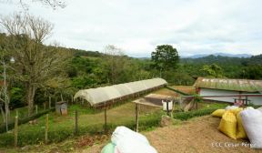 Presentan  Estrategia Nacional para el Desarrollo de la Caficultura