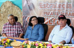 Presentan  Estrategia Nacional para el Desarrollo de la Caficultura