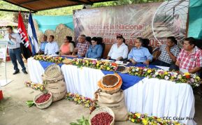 Presentan  Estrategia Nacional para el Desarrollo de la Caficultura