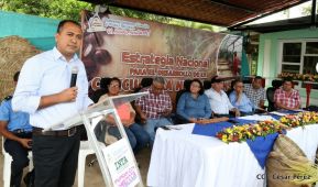 Presentan  Estrategia Nacional para el Desarrollo de la Caficultura