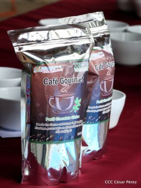 Presentan  Estrategia Nacional para el Desarrollo de la Caficultura