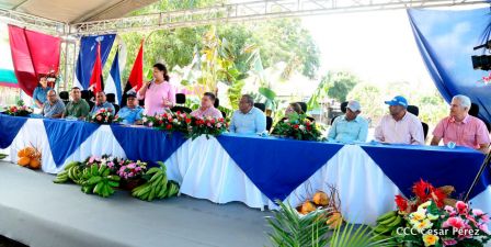 Nicaragua da la bienvenida a la cosecha de plátanos