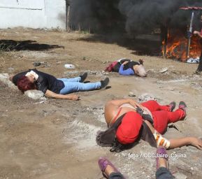 IV Ejercicio Nacional de Protección de la Vida Frente a las Multiamenazas