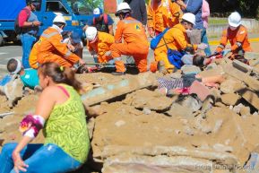 IV Ejercicio Nacional de Protección de la Vida Frente a las Multiamenazas