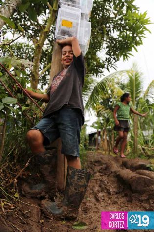 Familias de El Rama celebran normalización del sistema energético