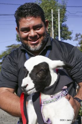 Caminata ¡Mujeres por la Vida! ¡Aquí Nos Ilumina un Sol que No Declina!
