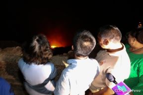 Visita de la Delegación de alto nivel de Vietnam