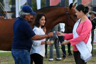 Nicaragua ostenta la mejor genética del caballo español durante la FERPRE 2014