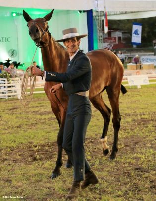 Nicaragua ostenta la mejor genética del caballo español durante la FERPRE 2014
