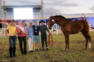 Nicaragua ostenta la mejor genética del caballo español durante la FERPRE 2014