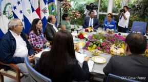 Reunión virtual extraordinaria de Jefes de Estado y de Gobierno del SICA