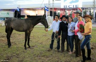 Nicaragua ostenta la mejor genética del caballo español durante la FERPRE 2014