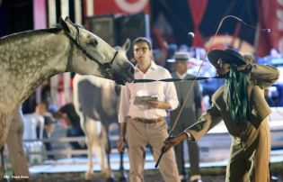 Show sinfónico ecuestre en la FERPRE 2014