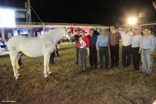 Show sinfónico ecuestre en la FERPRE 2014