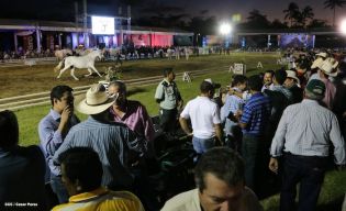 Show sinfónico ecuestre en la FERPRE 2014