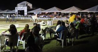 Show sinfónico ecuestre en la FERPRE 2014