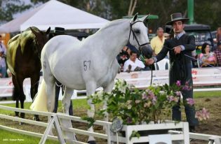 Show sinfónico ecuestre en la FERPRE 2014