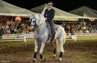 Show sinfónico ecuestre en la FERPRE 2014