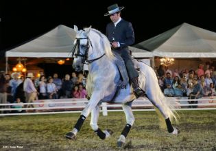 Show sinfónico ecuestre en la FERPRE 2014