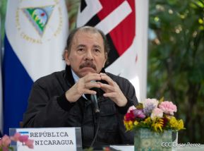 Cumbre virtual de MNOAL sobre la Covid-19