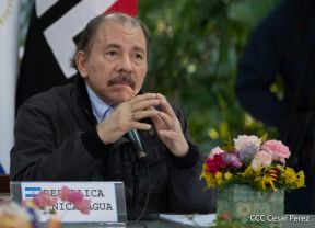 Cumbre virtual de MNOAL sobre la Covid-19