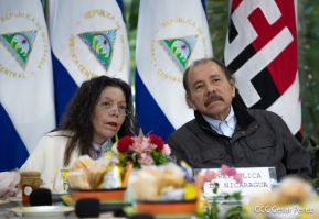 Cumbre virtual de MNOAL sobre la Covid-19