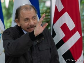 Cumbre virtual de MNOAL sobre la Covid-19