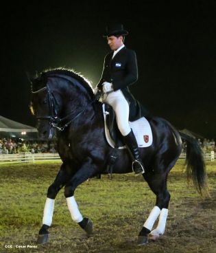 Show sinfónico ecuestre en la FERPRE 2014