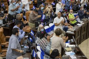 Reconocimiento al héroe de la solidaridad Brian Wilson