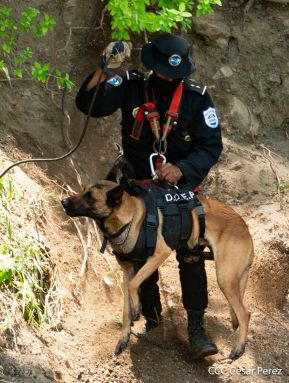 DOEP de la Policía Nacional realiza ejercicios demostrativos