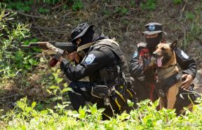 DOEP de la Policía Nacional realiza ejercicios demostrativos