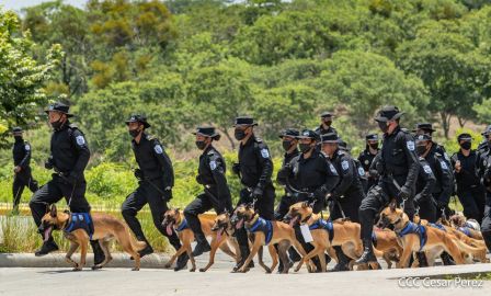 Nuestra Policía Nacional y su técnica canina para reforzar la seguridad ciudadana en Nicaragua