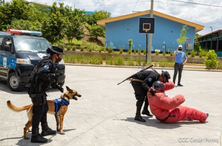 Nuestra Policía Nacional y su técnica canina para reforzar la seguridad ciudadana en Nicaragua