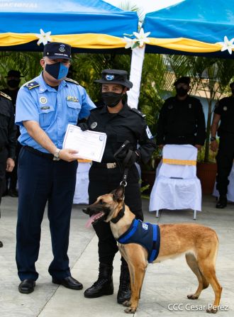 Nuestra Policía Nacional y su técnica canina para reforzar la seguridad ciudadana en Nicaragua