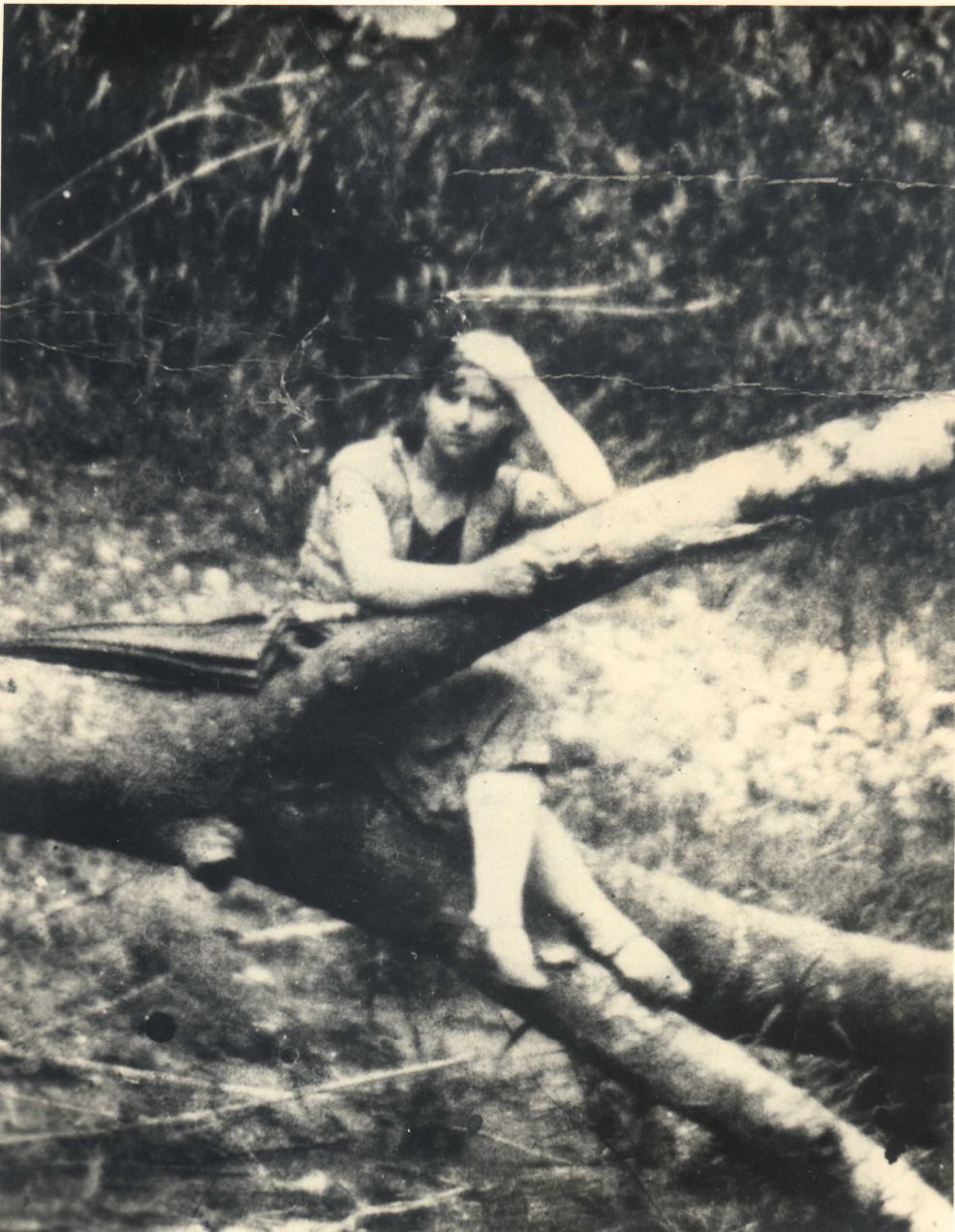 Sandino: Profeta, Visionario, Trascendente