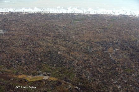Recorrido aéreo´de exploración de Ineter y Marena por zonas afectadas por huracanes Eta y Iota