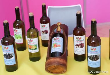 II Expo Feria Nicaragua Fuerza Bendita: Despliegue del Talento de Artistas que Inspiran a todo un Pueblo