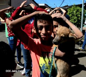 Ejercicio Nacional de preparación para proteger la vida