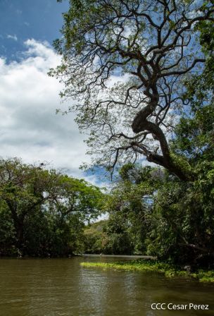 Viacrucis Acuático de Granada