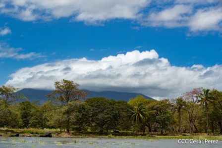 Viacrucis Acuático de Granada