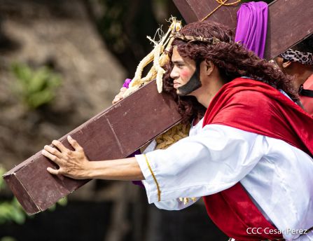 Viacrucis Acuático de Granada