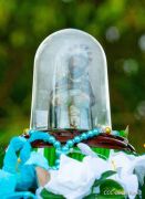 ¡Viva Santo Dominguito de Guzmán!