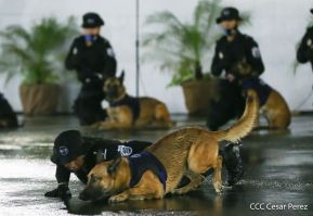 Desfile policial Centinelas de la Paz por el 42 aniversario de la Policía Nacional